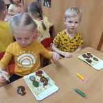 phoca_thumb_m_pernky 48 Fotogalerie